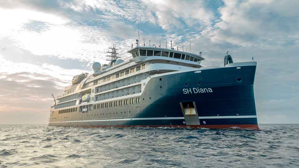 South Atlantic Cruise: from South Africa to Antarctica